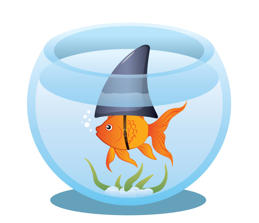 A cute little goldfish in a fish bowl wearing a shark fin to scare predators away. Editable vector illustration.